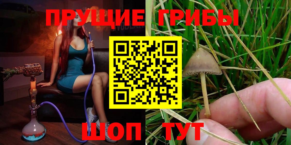 Галлюциногенные грибы Psilocybine cubensis  Вход с VPN  Воскресенск 