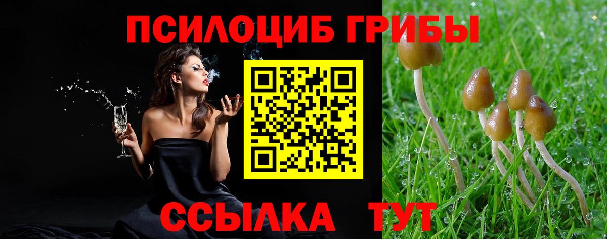 Псилоцибиновые грибы прущие грибы Воскресенск